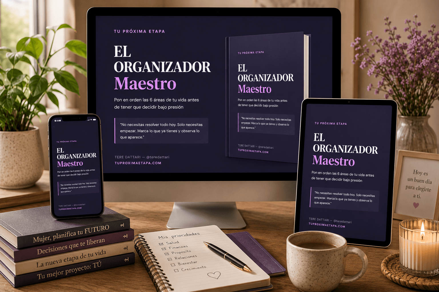 El Organizador Maestro